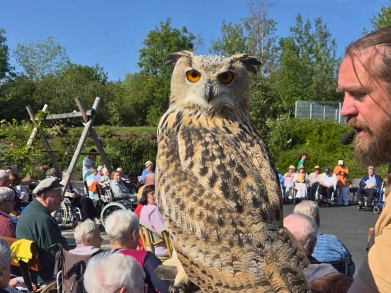 Wir konnten beispielsweise einen Adler, einen Geier oder eine Eule aus nächster Nähe betrachten und viele interessante Fakten über ihr Leben erfahren.